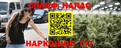 apvp Пушкино