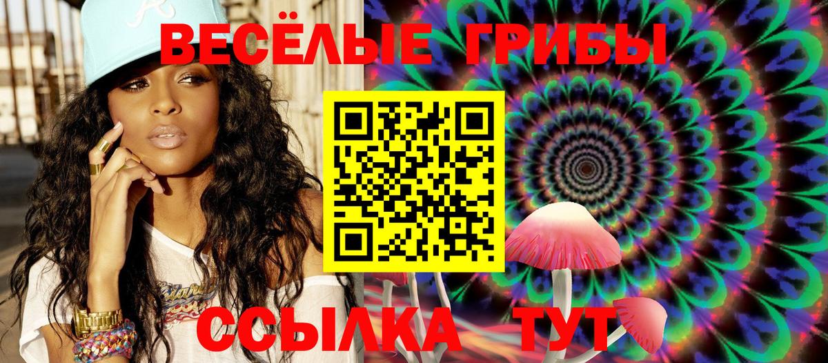 цена   Галлюциногенные грибы Psilocybe  Псилоцибиновые грибы Magic Shrooms  Вход с VPN  Сегежа 